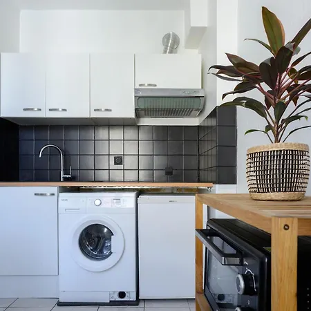 Daire Le Perchoir, Duplex 2 Ch Avec Cachet, Gare Nancy