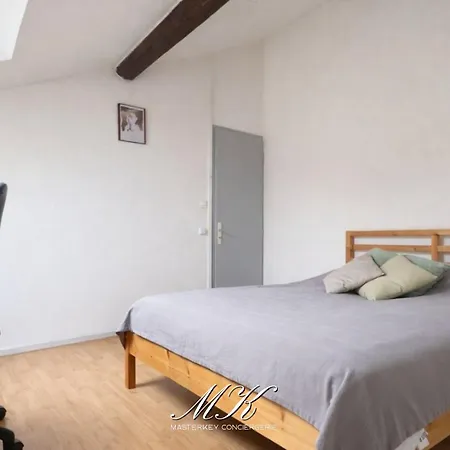 Le Perchoir, Duplex 2 Ch Avec Cachet, Gare * Nancy